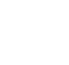 Heart Icon